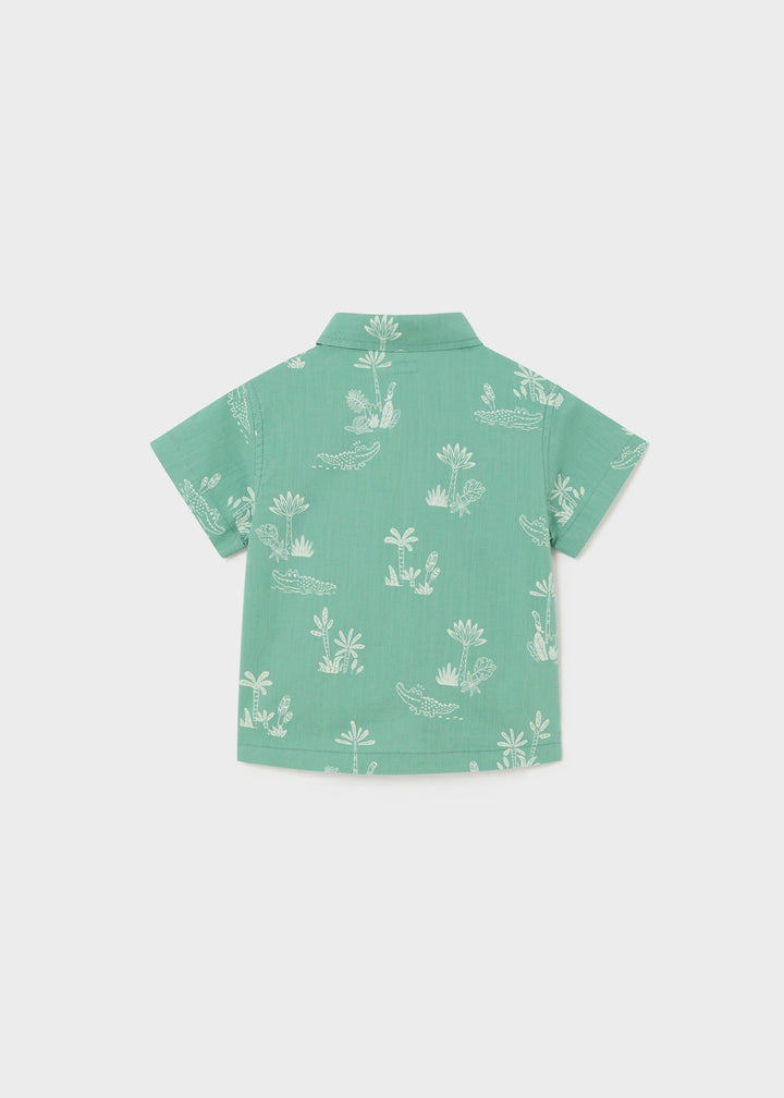 1112 - S/s shirt for baby boy - Eucalyptus - Kids Chic